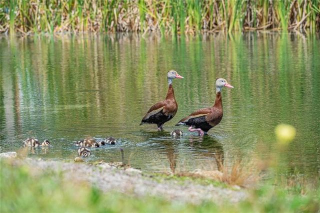 25 Pine Arbor Lane 104, Vero Beach, FL 32962