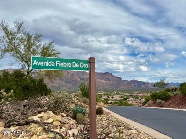 9205 E AVENIDA FIEBRE DE ORO --, Gold Canyon, AZ 85118