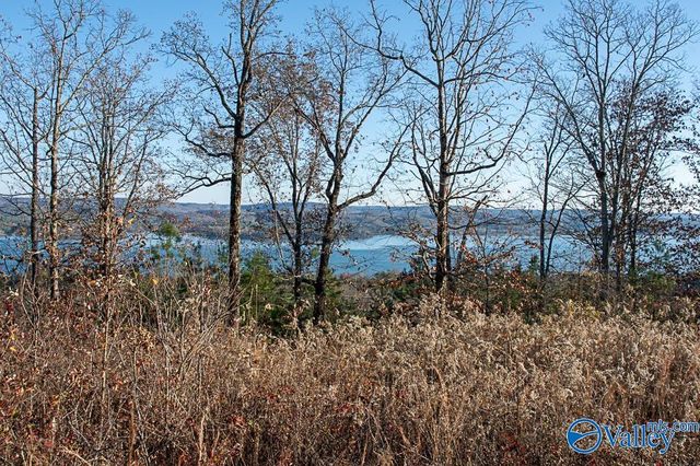 Lot 10 Keene Point Drive, Grant, AL 35747