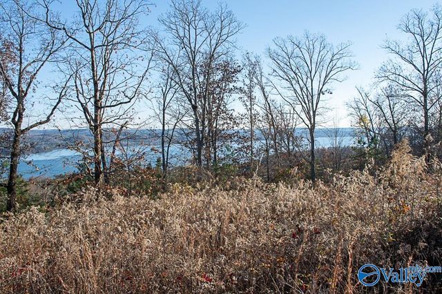 Lot 10 Keene Point Drive, Grant, AL 35747