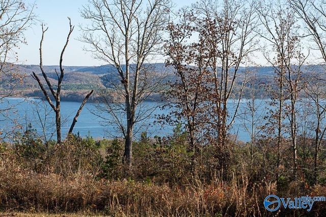 Lot 10 Keene Point Drive, Grant, AL 35747