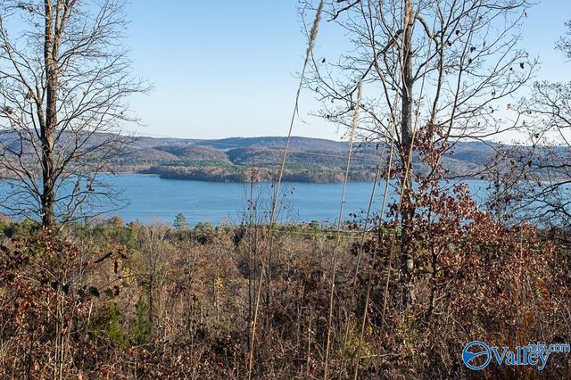 Lot 10 Keene Point Drive, Grant, AL 35747