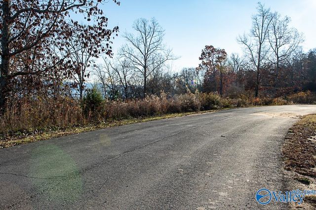 Lot 10 Keene Point Drive, Grant, AL 35747