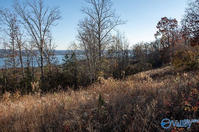 Lot 10 Keene Point Drive, Grant, AL 35747