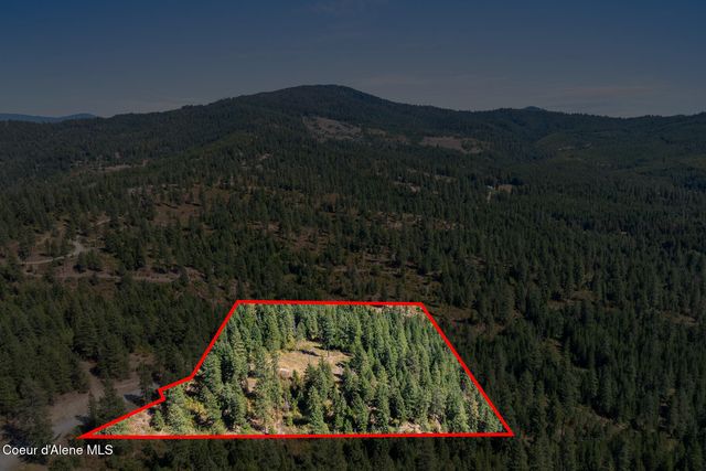 Lot 4 FSR 439, Harrison, ID 83833