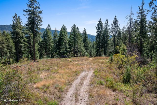 Lot 4 FSR 439, Harrison, ID 83833