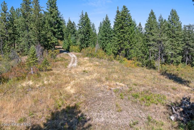 Lot 4 FSR 439, Harrison, ID 83833