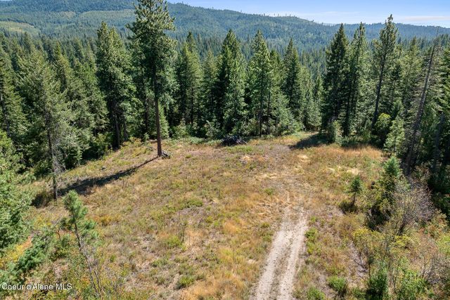 Lot 4 FSR 439, Harrison, ID 83833