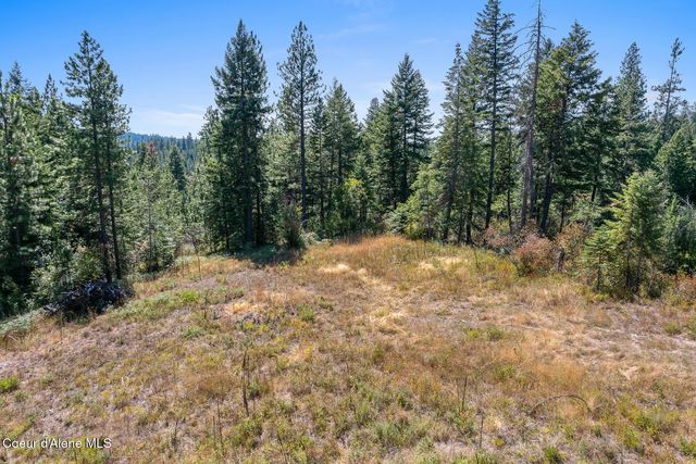 Lot 4 FSR 439, Harrison, ID 83833