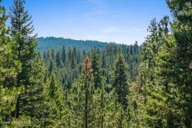 Lot 4 FSR 439, Harrison, ID 83833