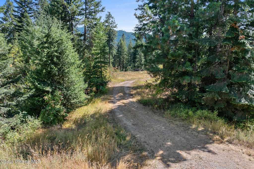 Lot 4 FSR 439, Harrison, ID 83833