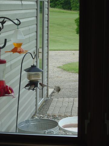 19800 Stephan Drive, Minnewaska Twp, MN 56381