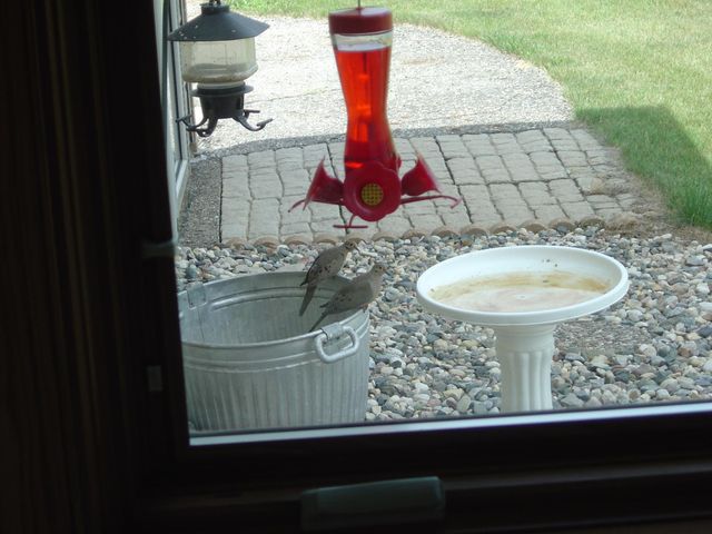 19800 Stephan Drive, Minnewaska Twp, MN 56381