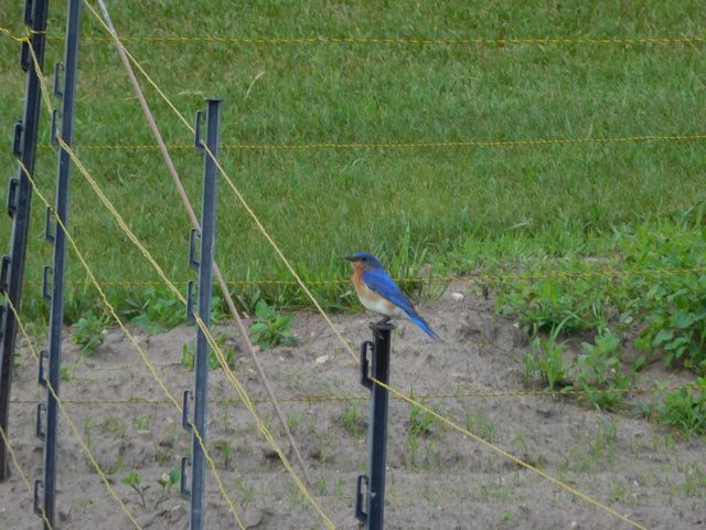 19800 Stephan Drive, Minnewaska Twp, MN 56381