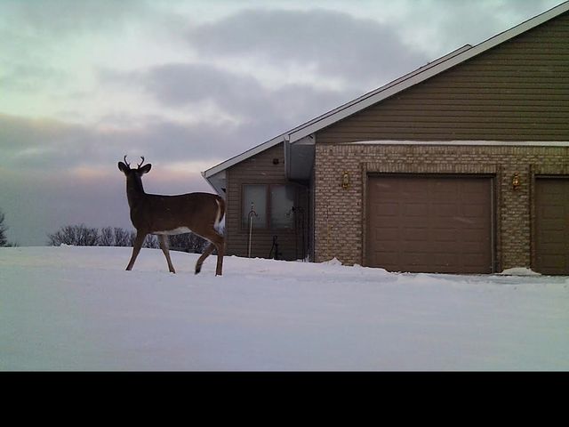 19800 Stephan Drive, Minnewaska Twp, MN 56381