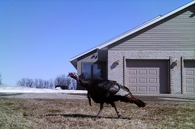 19800 Stephan Drive, Minnewaska Twp, MN 56381