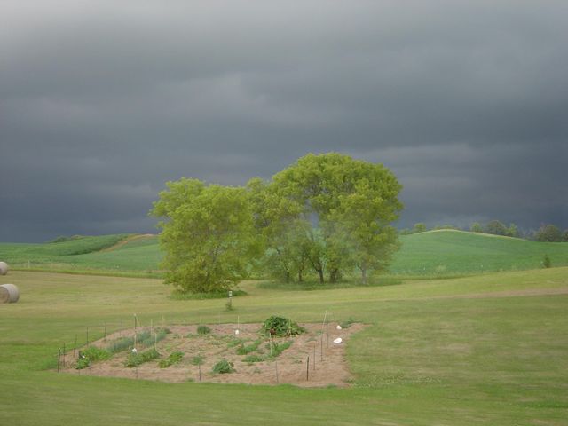 19800 Stephan Drive, Minnewaska Twp, MN 56381