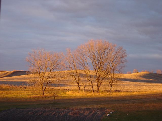 19800 Stephan Drive, Minnewaska Twp, MN 56381