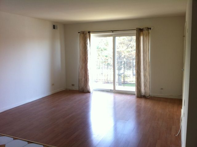 9368 BAY COLONY Drive 2S, Des Plaines, IL 60016