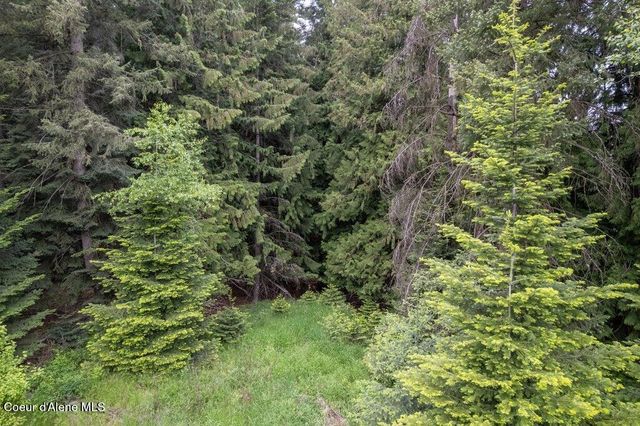 NKA Highway 5, St. Maries, ID 83861