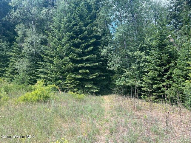 NKA Highway 5, St. Maries, ID 83861