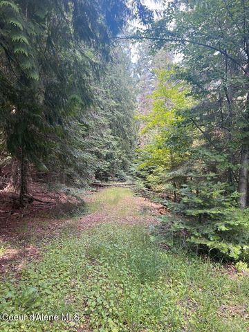 NKA Highway 5, St. Maries, ID 83861