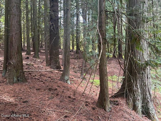 NKA Highway 5, St. Maries, ID 83861