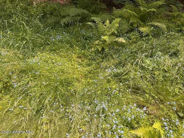 NKA Highway 5, St. Maries, ID 83861