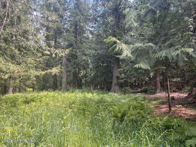 NKA Highway 5, St. Maries, ID 83861