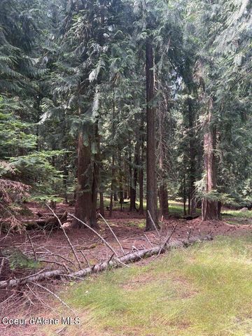 NKA Highway 5, St. Maries, ID 83861