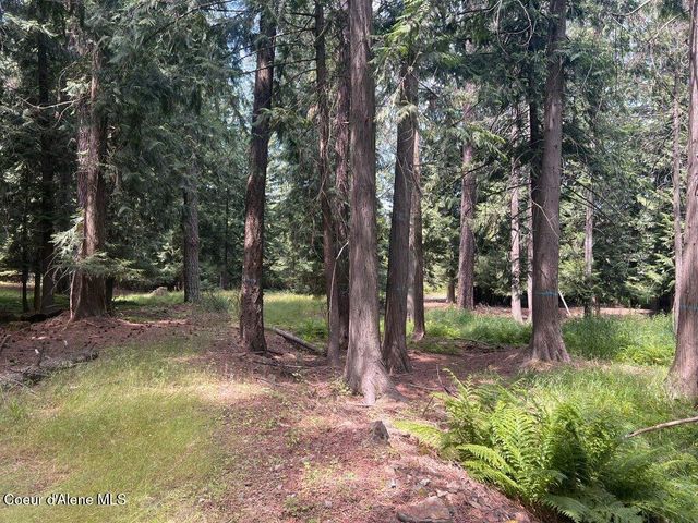 NKA Highway 5, St. Maries, ID 83861