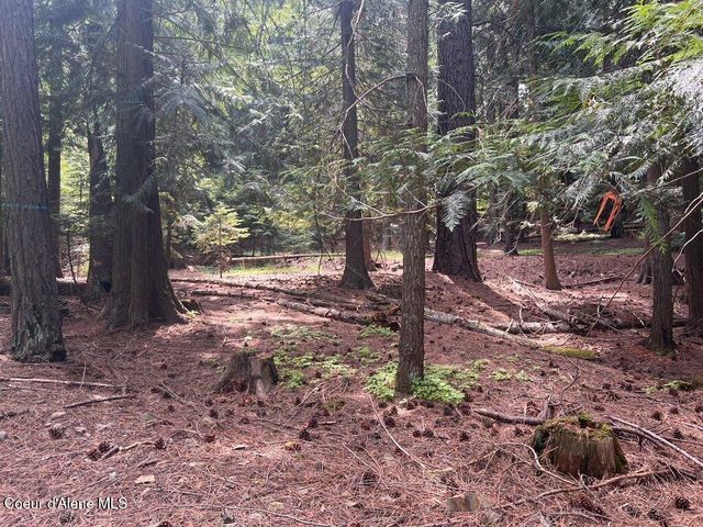 NKA Highway 5, St. Maries, ID 83861