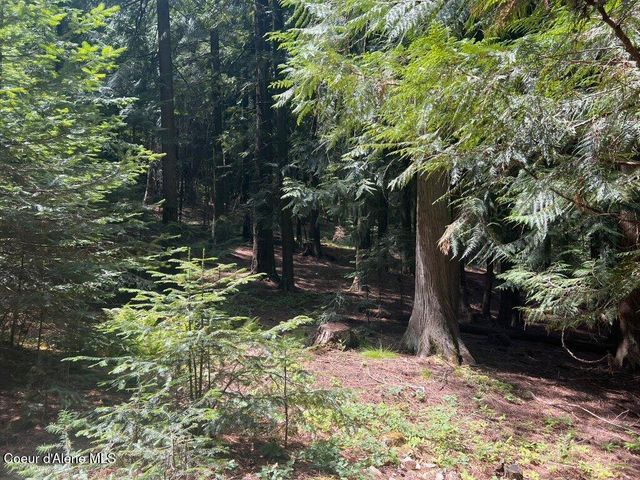 NKA Highway 5, St. Maries, ID 83861