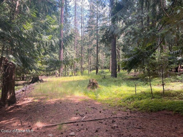 NKA Highway 5, St. Maries, ID 83861