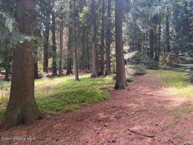 NKA Highway 5, St. Maries, ID 83861