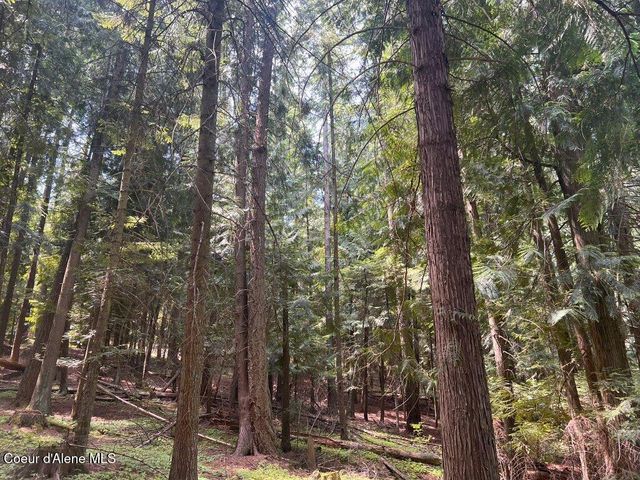 NKA Highway 5, St. Maries, ID 83861