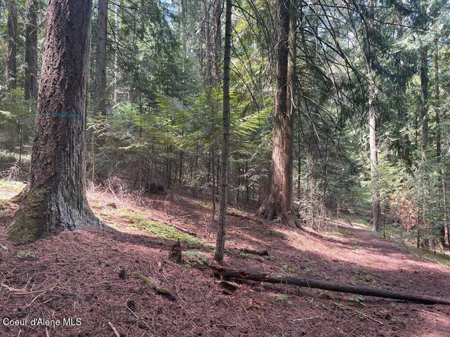 NKA Highway 5, St. Maries, ID 83861