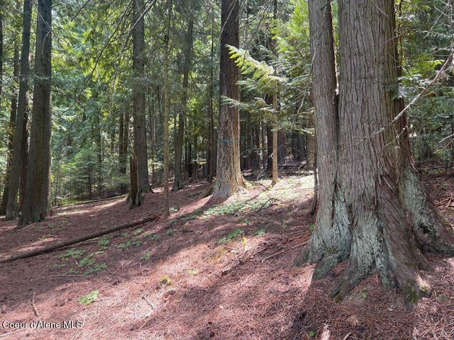 NKA Highway 5, St. Maries, ID 83861