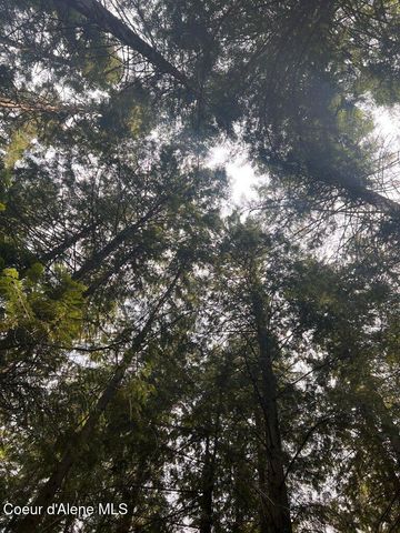 NKA Highway 5, St. Maries, ID 83861