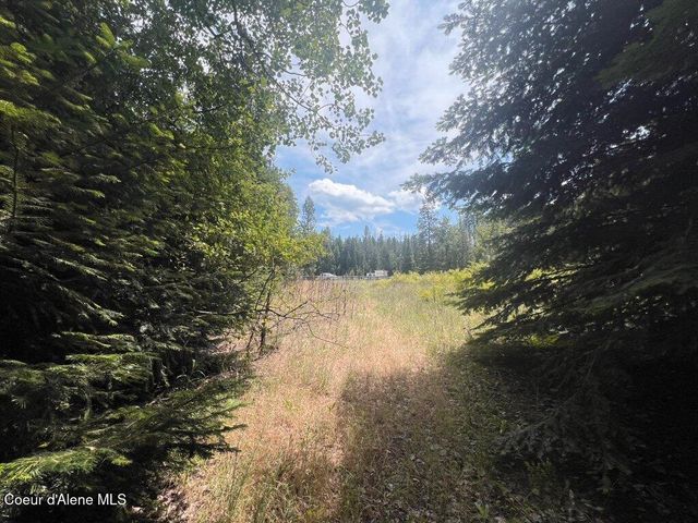 NKA Highway 5, St. Maries, ID 83861