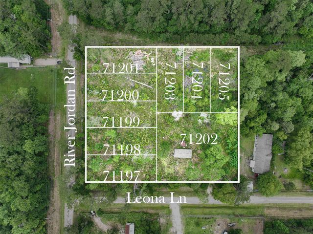 0 Leona Lane, Shepherd, TX 77371