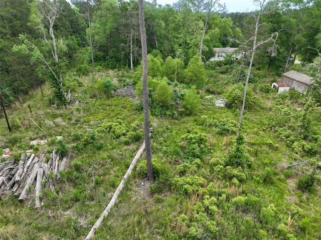 0 Leona Lane, Shepherd, TX 77371