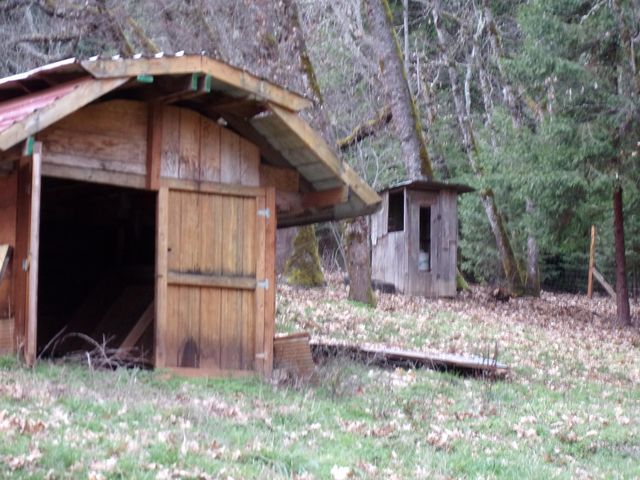 206 Lower Wolf Creek Road, Wolf Creek, OR 97497