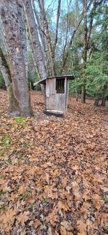 206 Lower Wolf Creek Road, Wolf Creek, OR 97497