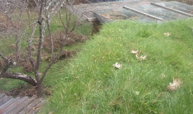 206 Lower Wolf Creek Road, Wolf Creek, OR 97497