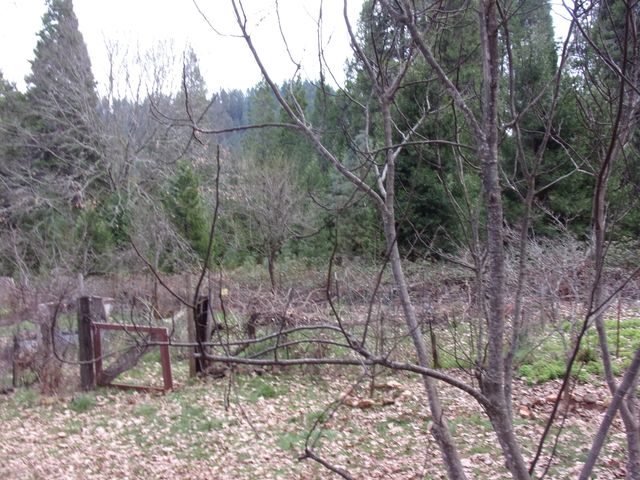 206 Lower Wolf Creek Road, Wolf Creek, OR 97497