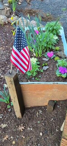 206 Lower Wolf Creek Road, Wolf Creek, OR 97497