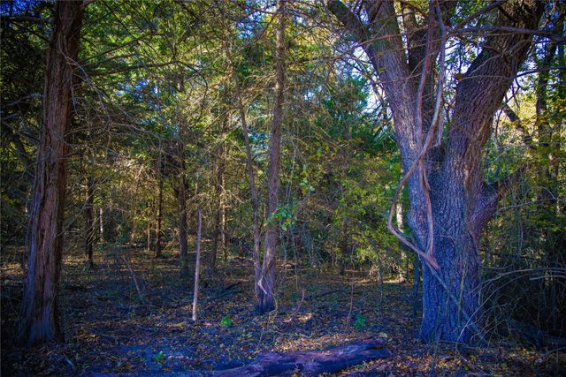 2270 County Road 2360, Decatur, TX 76234