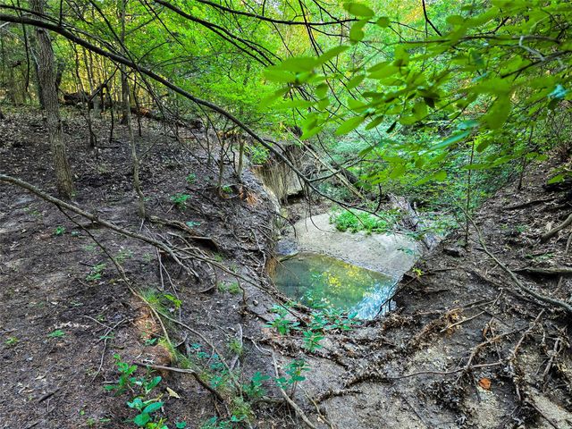 2270 County Road 2360, Decatur, TX 76234