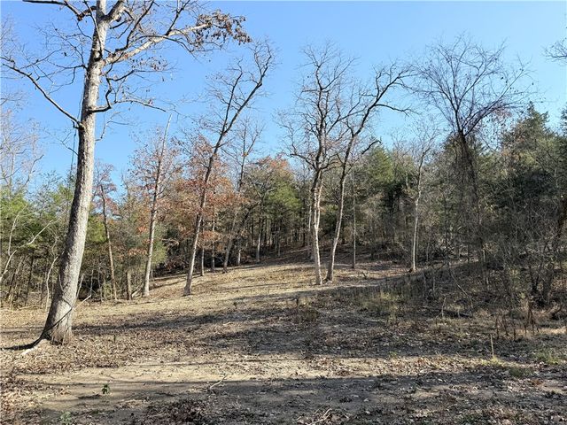 Owens Lane, Peel, AR 72668